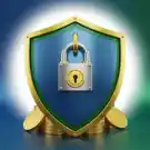 Safe and Secure P999 Login image